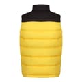 Miniatyrbilde 2 av 4: Regatta Mens Vintage Colour Block Gilet