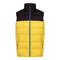 Miniatyrbilde 1 av 4: Regatta Mens Vintage Colour Block Gilet