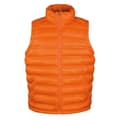 Pikkukuva 1 / 2: Result Mens Urban Ice Bird Padded Gilet