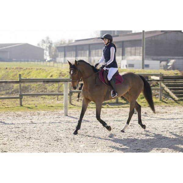 Equitheme Piaffer Väst Pro Series Blå XL