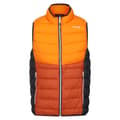 Miniatyrbillede 3 af 9: Regatta Vest Harrock Ii Orange M Mand