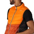 Miniatyrbillede 6 af 9: Regatta Vest Harrock Ii Orange M Mand