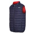 Miniatyrbillede 5 af 9: Regatta Vest Marizion Blå 2XL Mand