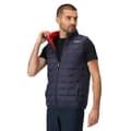 Miniatyrbillede 6 af 9: Regatta Vest Marizion Blå 2XL Mand