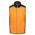 Miniatyrbillede 3 af 9: Regatta Vest Halton Vii Orange L Mand