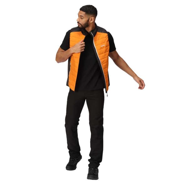 Regatta Vest Halton Vii Orange L Mand