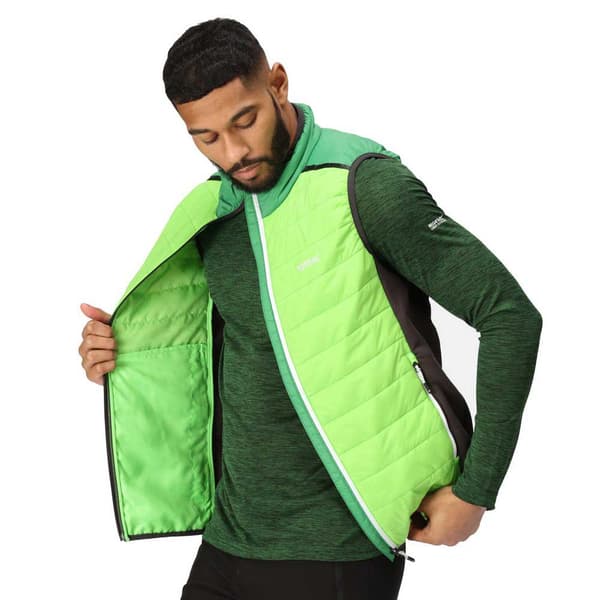 Regatta Vest Halton Vii Grøn XL Mand