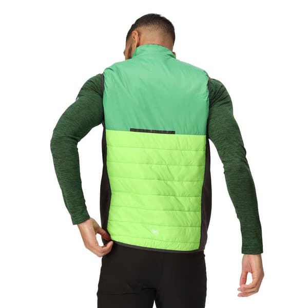 Regatta Vest Halton Vii Grøn XL Mand