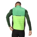 Miniatyrbillede 2 af 9: Regatta Vest Halton Vii Grøn 2XL Mand