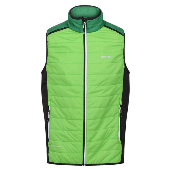 Regatta Vest Halton Vii Grøn M Mand