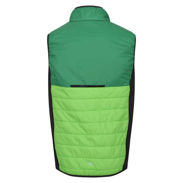 Regatta Vest Halton Vii Grøn M Mand