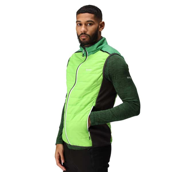 Regatta Vest Halton Vii Grøn M Mand