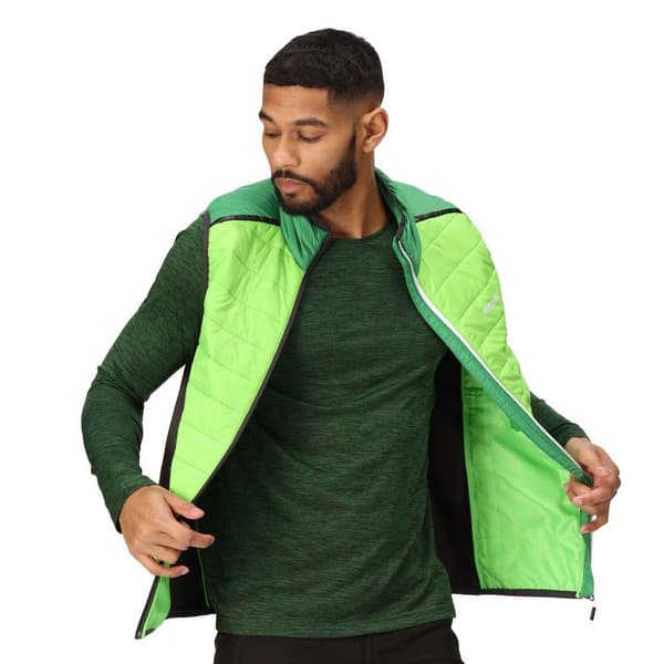 Regatta Vest Halton Vii Grøn M Mand