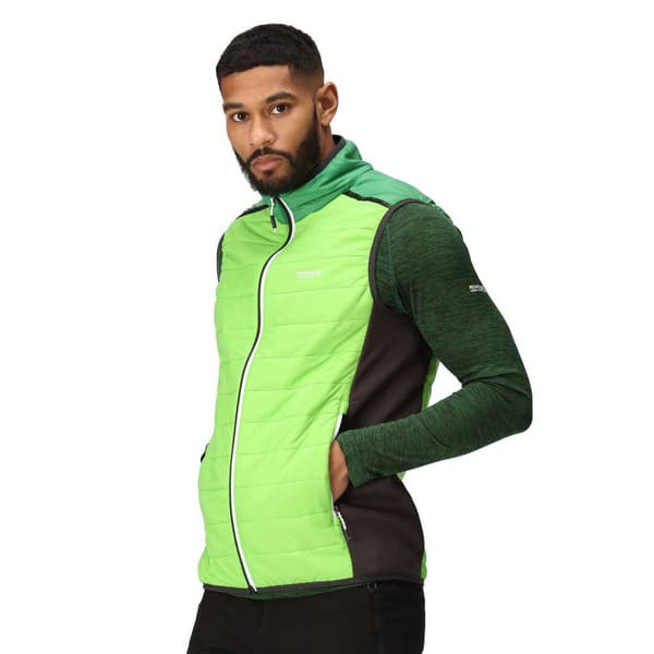 Regatta Vest Halton Vii Grøn M Mand