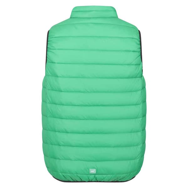 Regatta Vest Marizion Grøn XL Mand