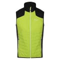 Miniatyrbillede 3 af 7: Regatta Vest Halton Vi Grøn 3XL Mand