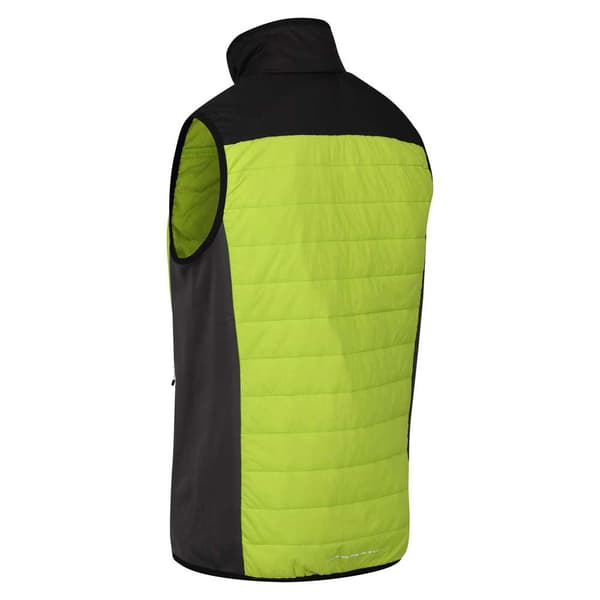 Regatta Vest Halton Vi Grøn 3XL Mand