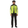 Miniatyrbillede 7 af 7: Regatta Vest Halton Vi Grøn 3XL Mand