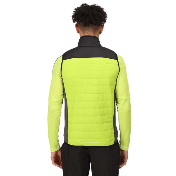 Regatta Vest Halton Vi Grøn 3XL Mand