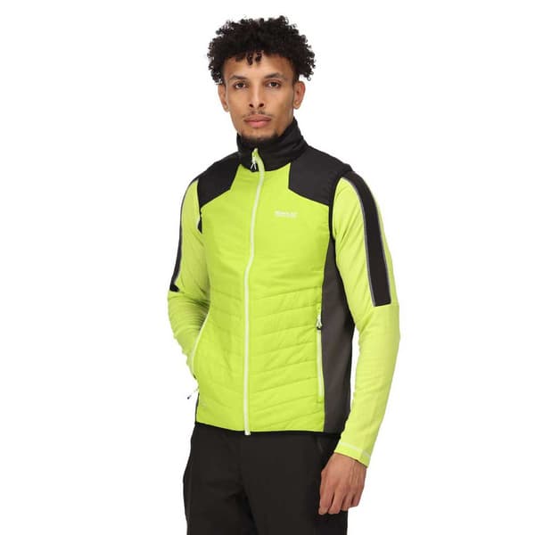 Regatta Vest Halton Vi Grøn 3XL Mand
