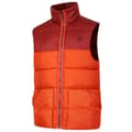 Miniatyrbillede 5 af 9: Dare2b Vest City Orange 3XL Mand
