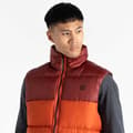Miniatyrbillede 7 af 9: Dare2b Vest City Orange 3XL Mand