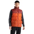 Miniatyrbillede 1 af 9: Dare2b Vest City Orange 3XL Mand