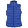 Miniatyrbillede 1 af 2: Result Urban Womens/Ladies Ice Bird Padded Gilet