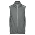 Miniatyrbillede 3 af 8: Regatta Vest Lankin Vi Grøn 2XL Mand