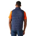 Miniatyrbilde 5 av 5: Regatta Mens Hillpack II Gilet