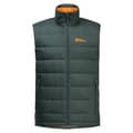 Miniatyrbild 3 av 5: Jack Wolfskin Ather Down Väst  2XL Man