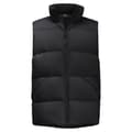 Miniatyrbillede 3 af 5: Jack Wolfskin Roemertor Vest  2XL Mand