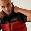 Miniatyrbillede 5 af 8: Regatta Nevado Vest Orange M Mand