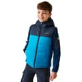 Miniatyrbillede 3 af 3: Regatta Childrens/Kids Lofthouse II Gilet