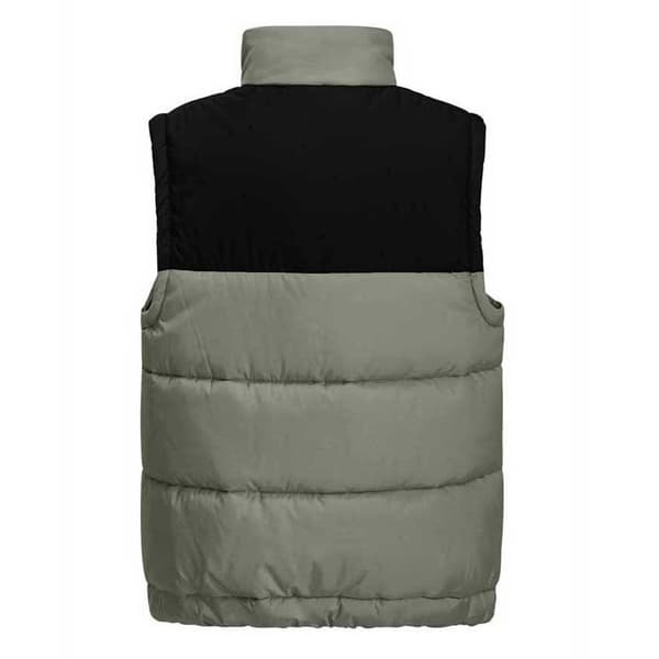 Jack Wolfskin Teen Ins Väst Grå 164 cm