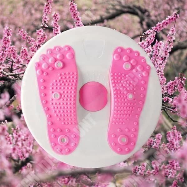 TD® Rose Plate Twister Fin Midja Magnet Fitness Massage Platta Sport Fitness Machine Hem