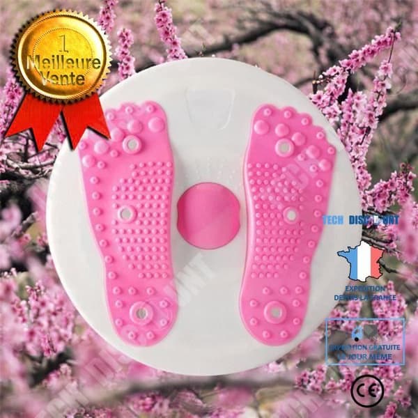 TD® Rose Plate Twister Fin Midja Magnet Fitness Massage Platta Sport Fitness Machine Hem