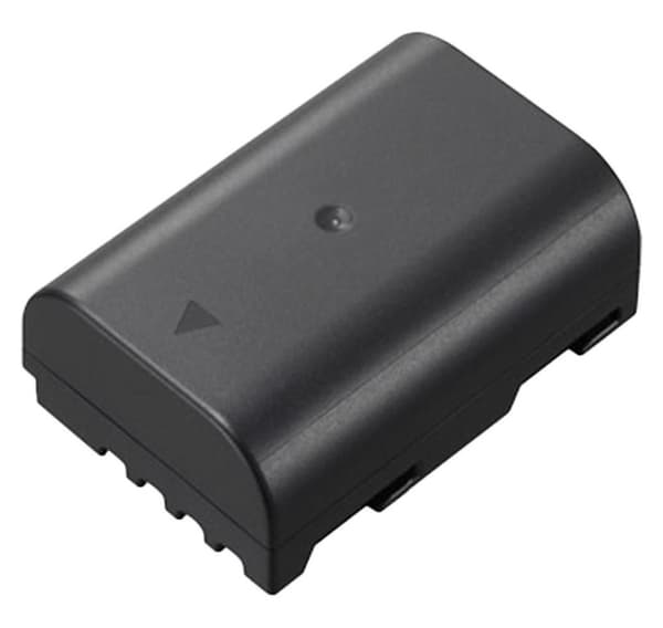 Panasonic batteri DMW-BLF19