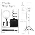 Miniatyrbillede 2 af 2: Ringlys, 18 tommer i diameter, justerbart stativ, 200cm Tripod Model E
