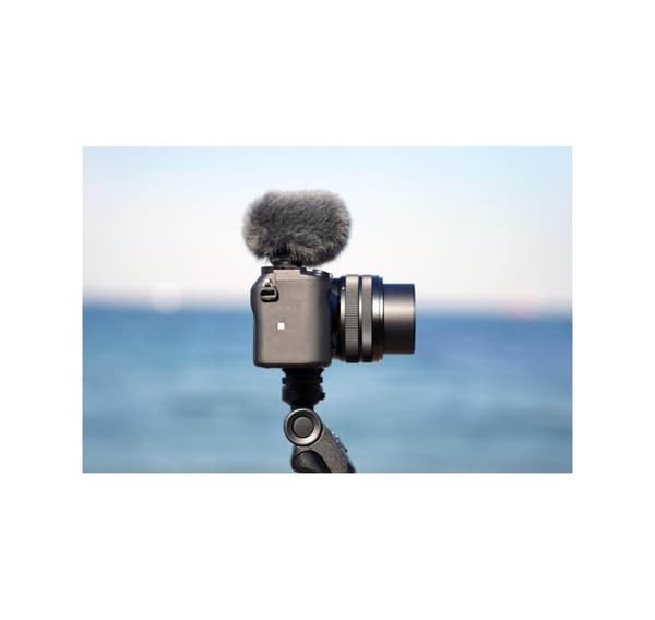 Sony mikrofon ECM-G1