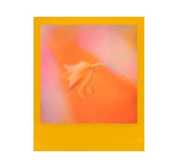 Polaroid i-Type Color Frame Edition