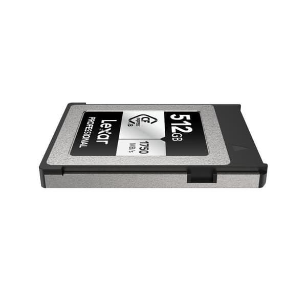 Lexar minneskort CFexpress 512GB Professional Typ B Silver