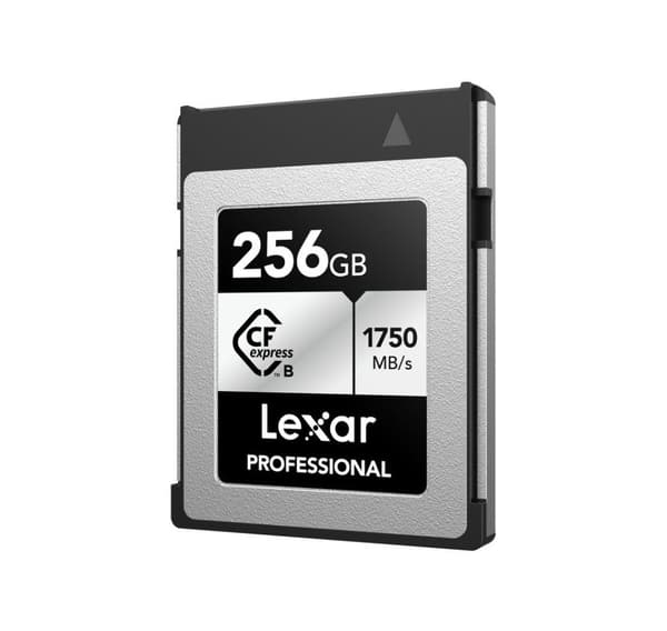 Lexar minneskort CFexpress 256GB Professional Typ B Silver