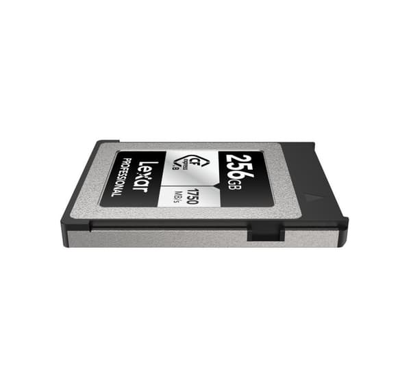 Lexar minneskort CFexpress 256GB Professional Typ B Silver