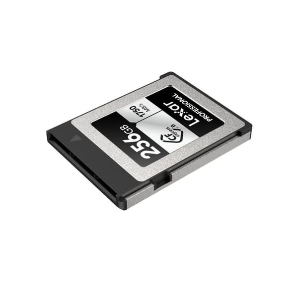 Lexar minneskort CFexpress 256GB Professional Typ B Silver