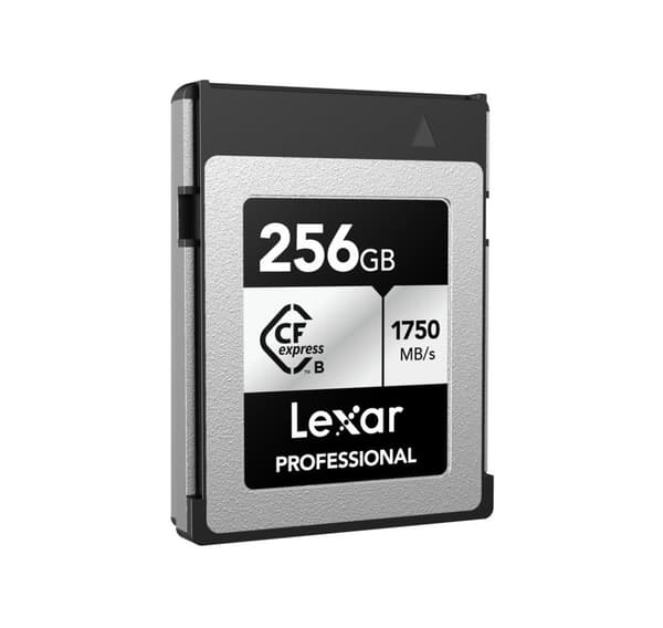Lexar minneskort CFexpress 256GB Professional Typ B Silver