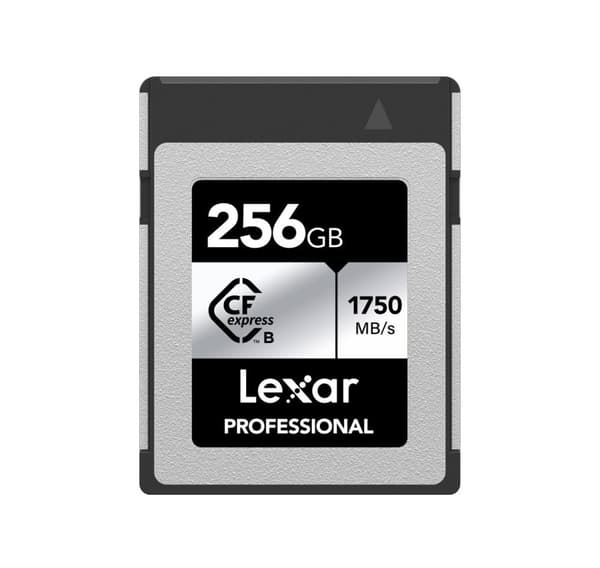 Lexar minneskort CFexpress 256GB Professional Typ B Silver