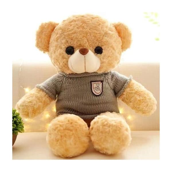 Nalle i plysch - Ej specificerad - HD 1080P spionkamera - Wifi - Rörelsedetektor - Batteritid 6-10h