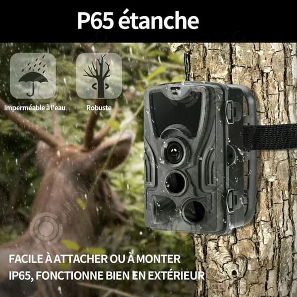 INN 1080P Jaktkamera 6 månader Standbytid Utomhussport Liten kamera HD Night Vision Infraro Night Vision