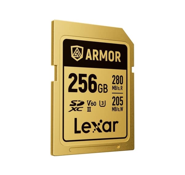 Lexar minneskort SDXC 256GB Armor Gold UHS-II U3
